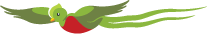 Xela AID